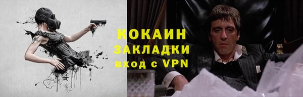 твердый Аркадак