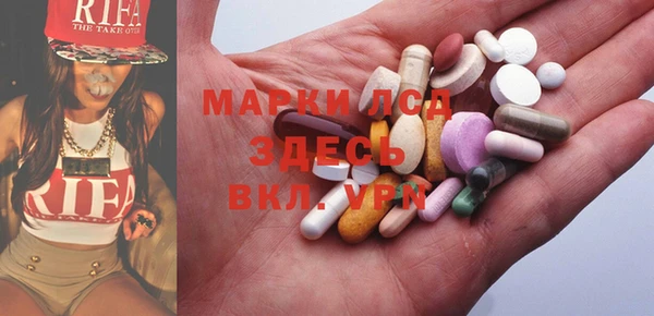 твердый Аркадак